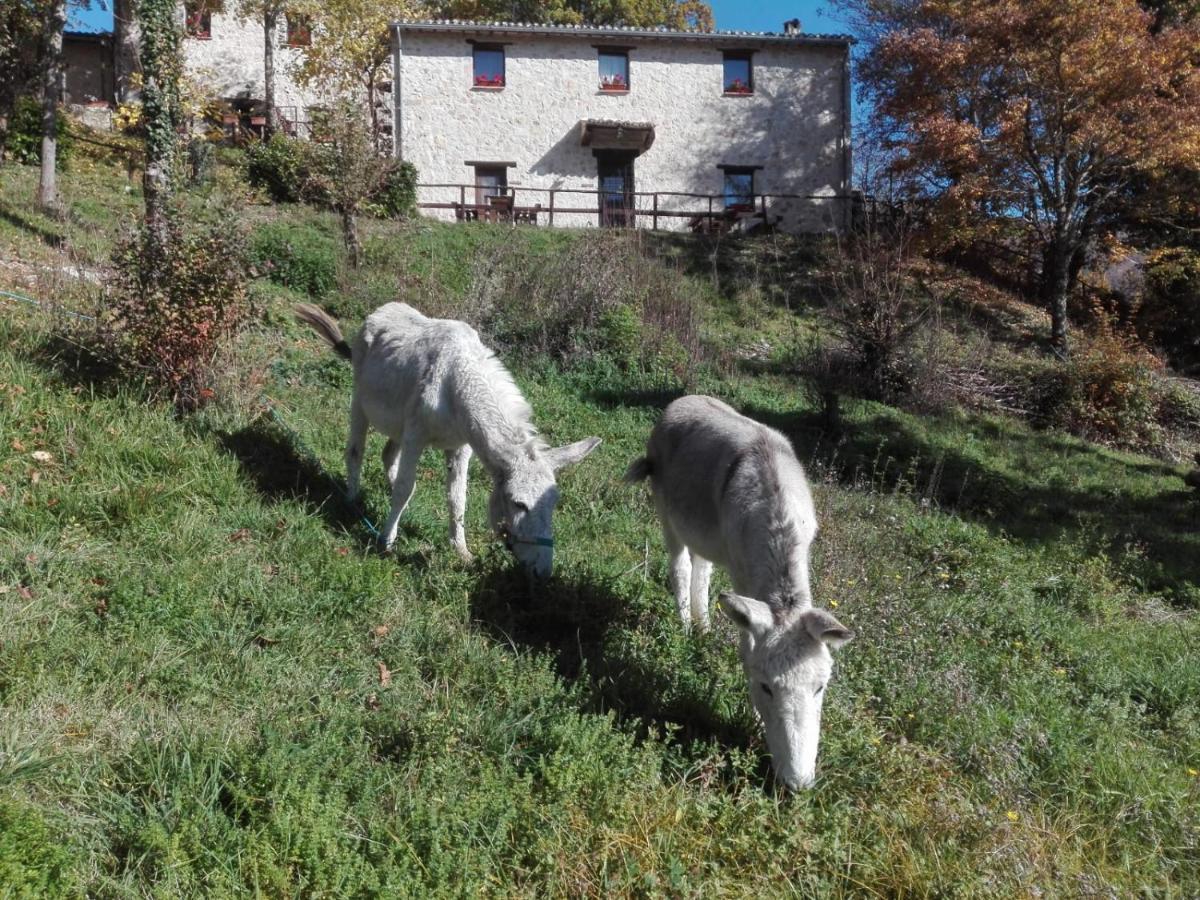I Casali Del Buontempo Vila Buggiano Exterior foto